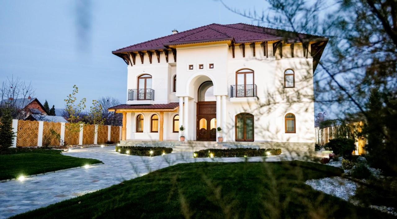 Conacul Olarilor Bed & Breakfast Baia de Fier Bagian luar foto