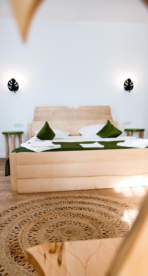 Conacul Olarilor Bed & Breakfast Baia de Fier Bagian luar foto